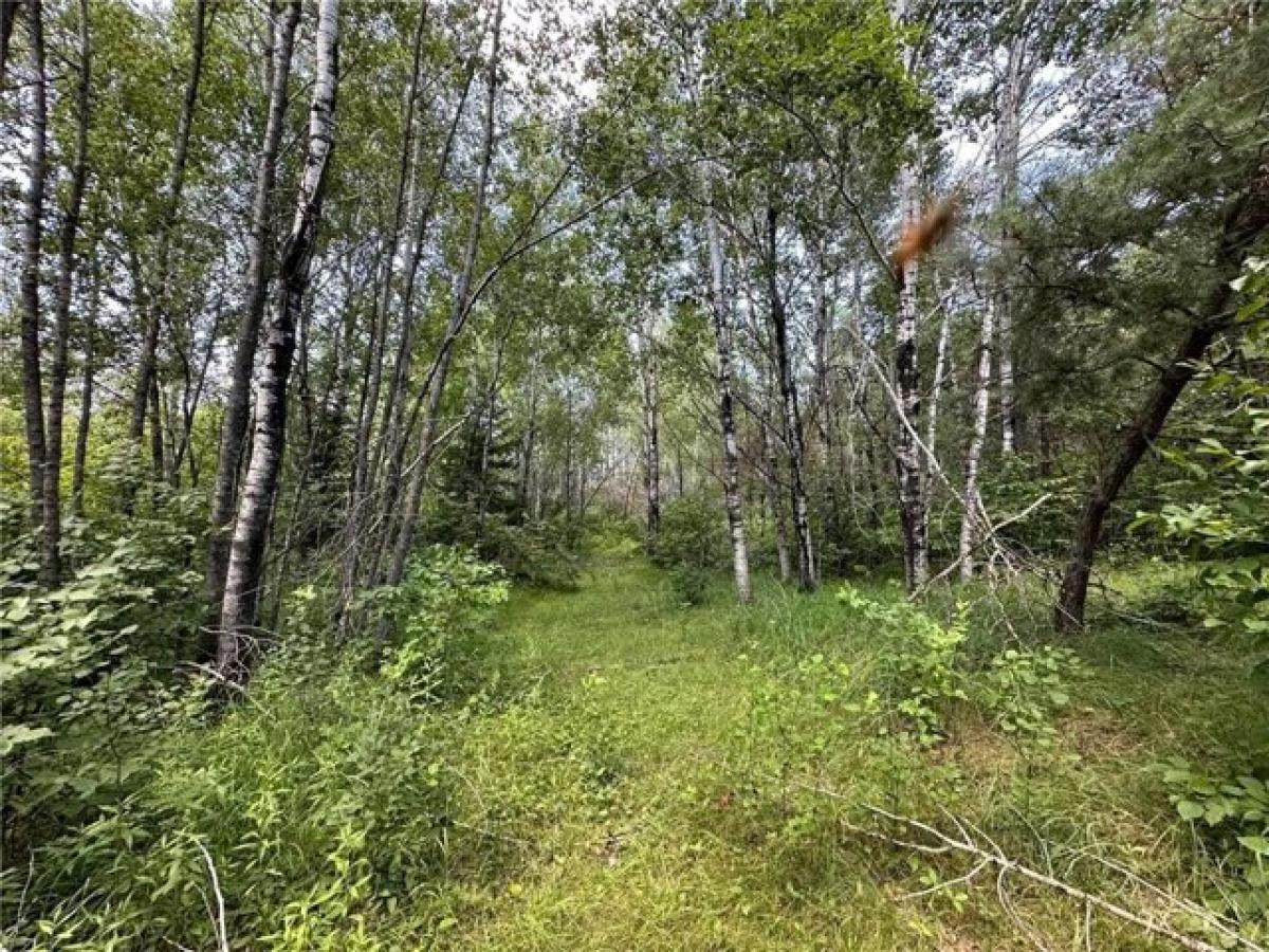 Picture of Residential Land For Sale in Sturgeon Lake, Minnesota, United States