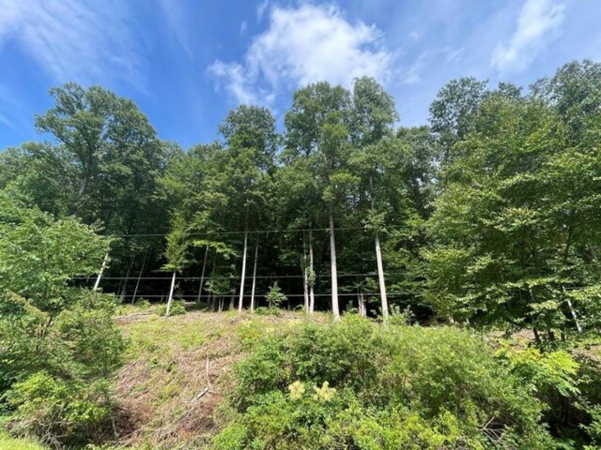 Picture of Home For Sale in Ansted, West Virginia, United States