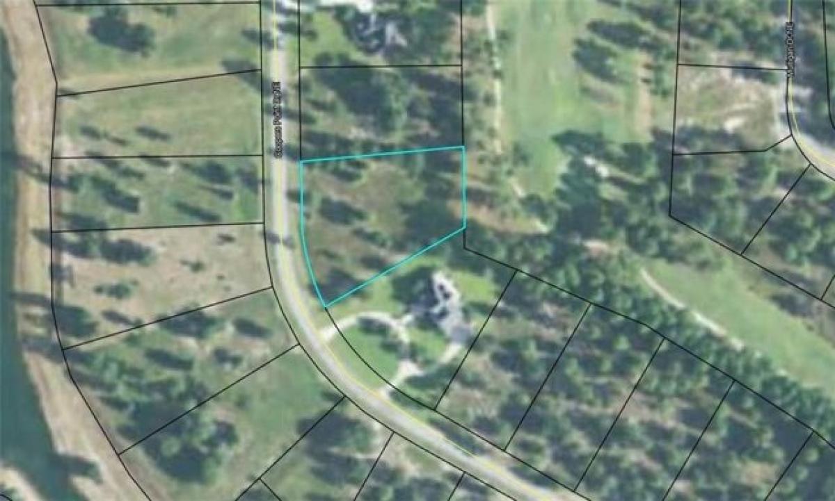 Picture of Residential Land For Sale in Townsend, Georgia, United States