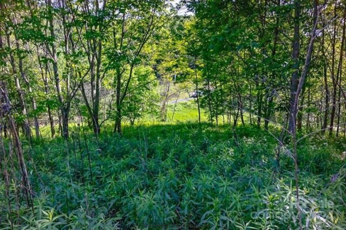 Picture of Residential Land For Sale in Clyde, North Carolina, United States