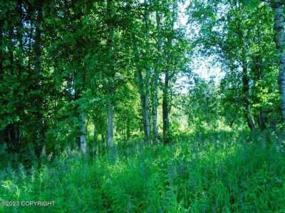 Residential Land For Sale in Talkeetna, Alaska