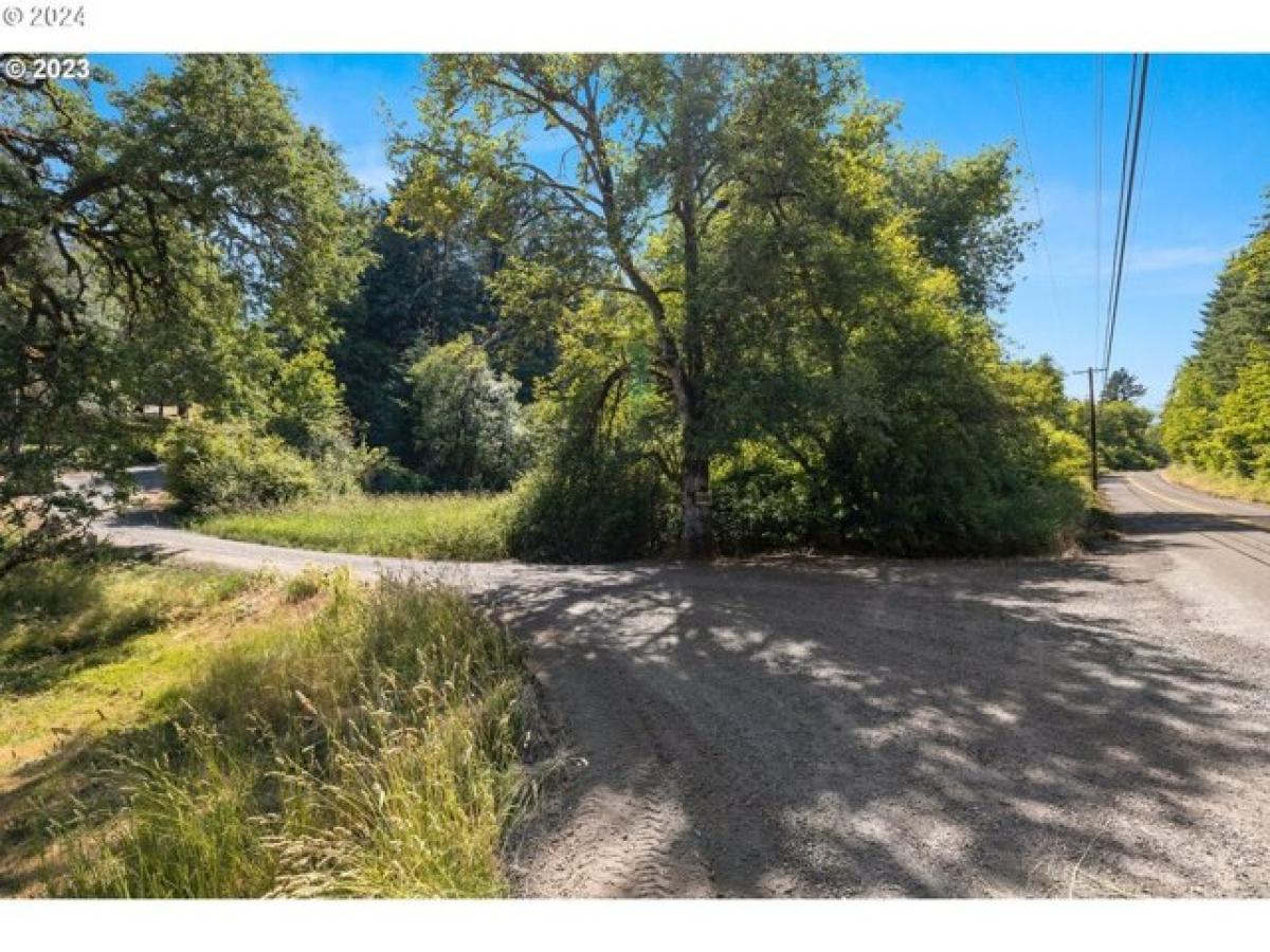 Picture of Residential Land For Sale in Forest Grove, Oregon, United States