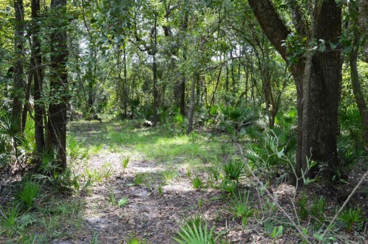 Picture of Residential Land For Sale in Lee, Florida, United States