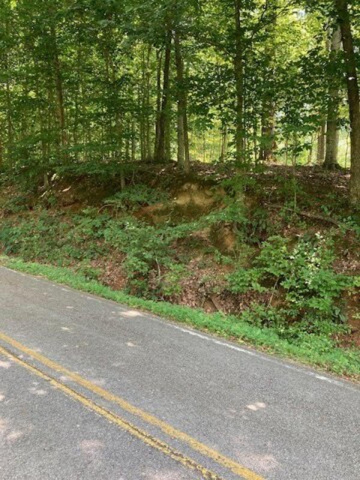 Picture of Residential Land For Sale in Cumberland City, Tennessee, United States