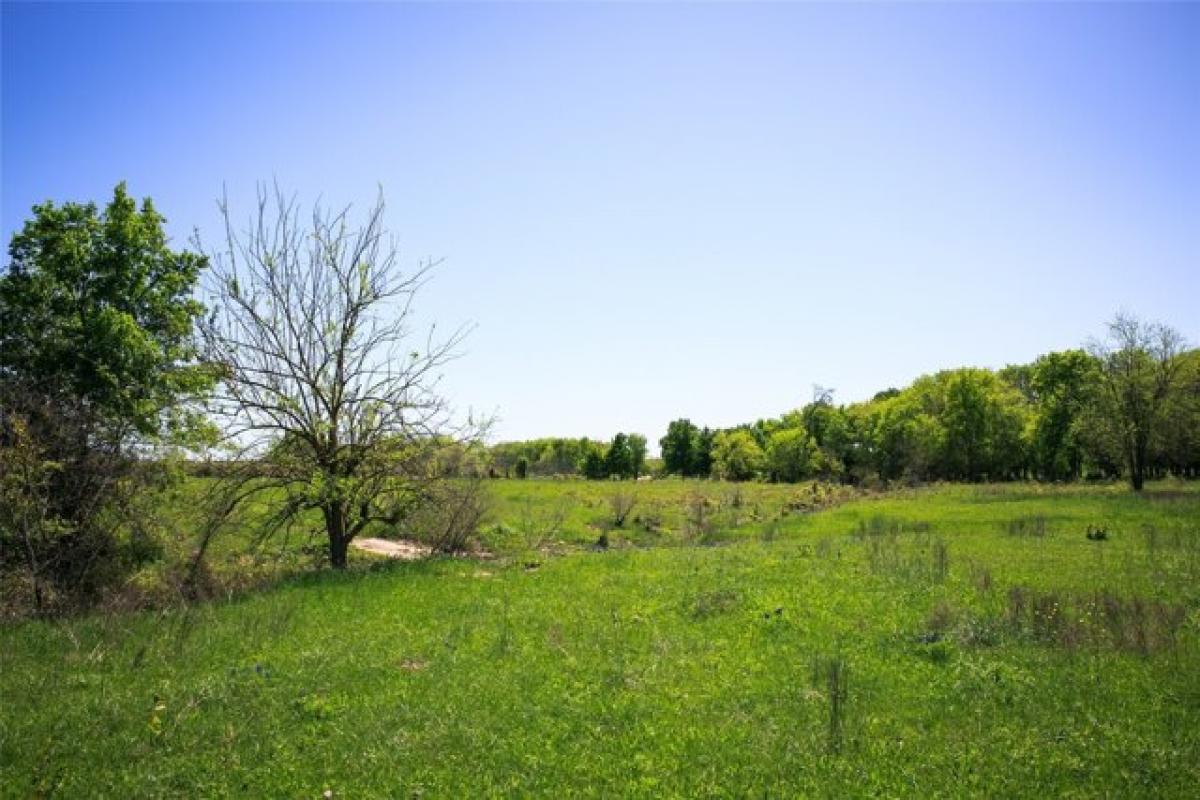 Picture of Residential Land For Sale in Chappell Hill, Texas, United States