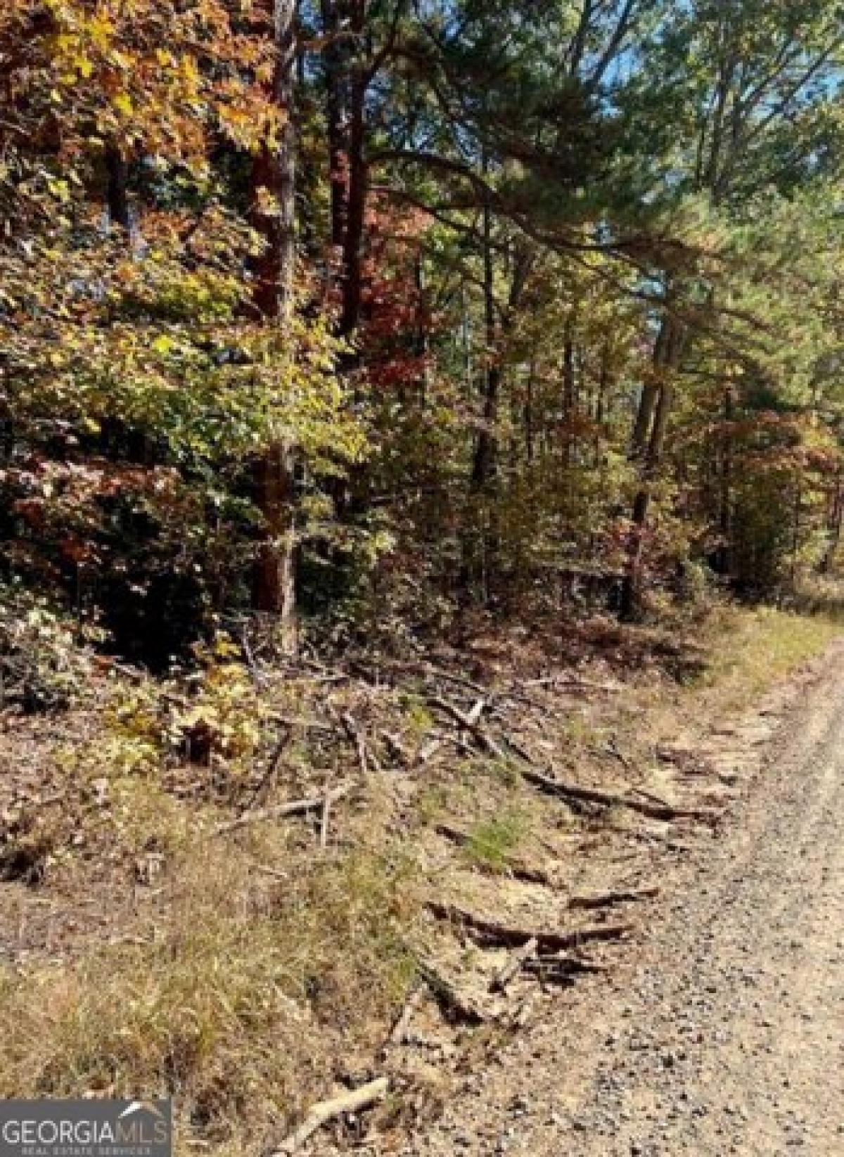 Picture of Residential Land For Sale in Waco, Georgia, United States