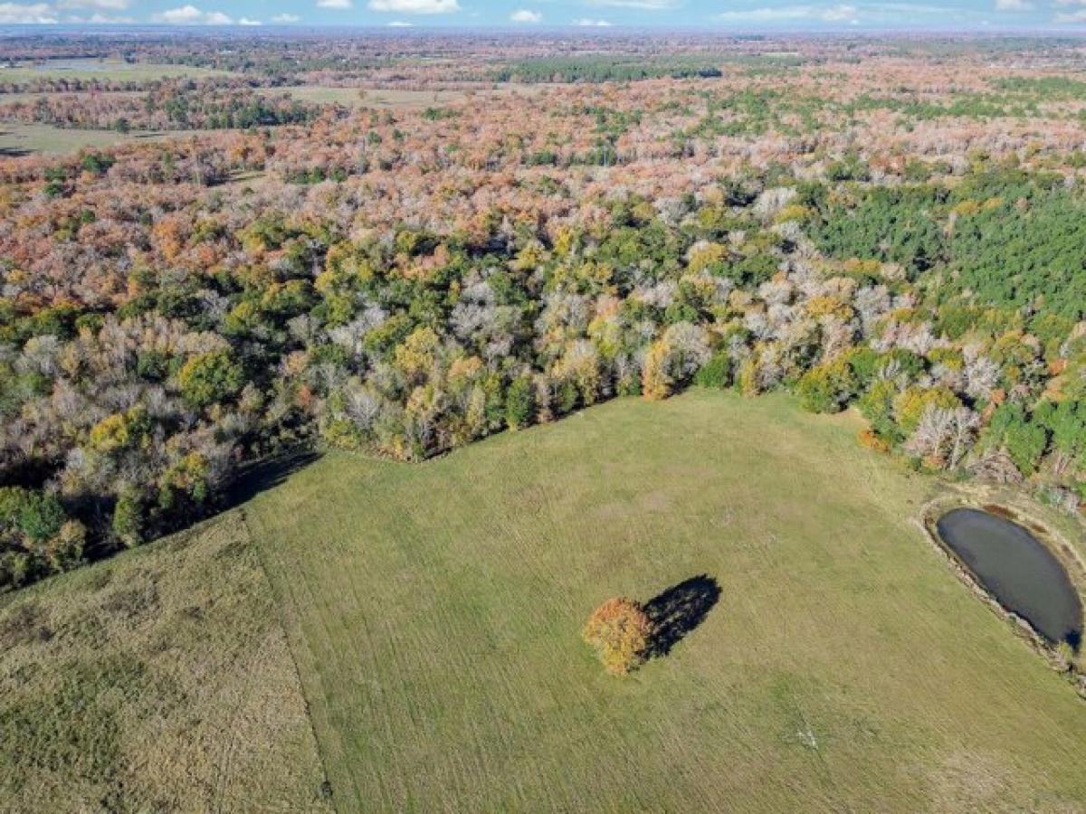 Picture of Residential Land For Sale in Crockett, Texas, United States