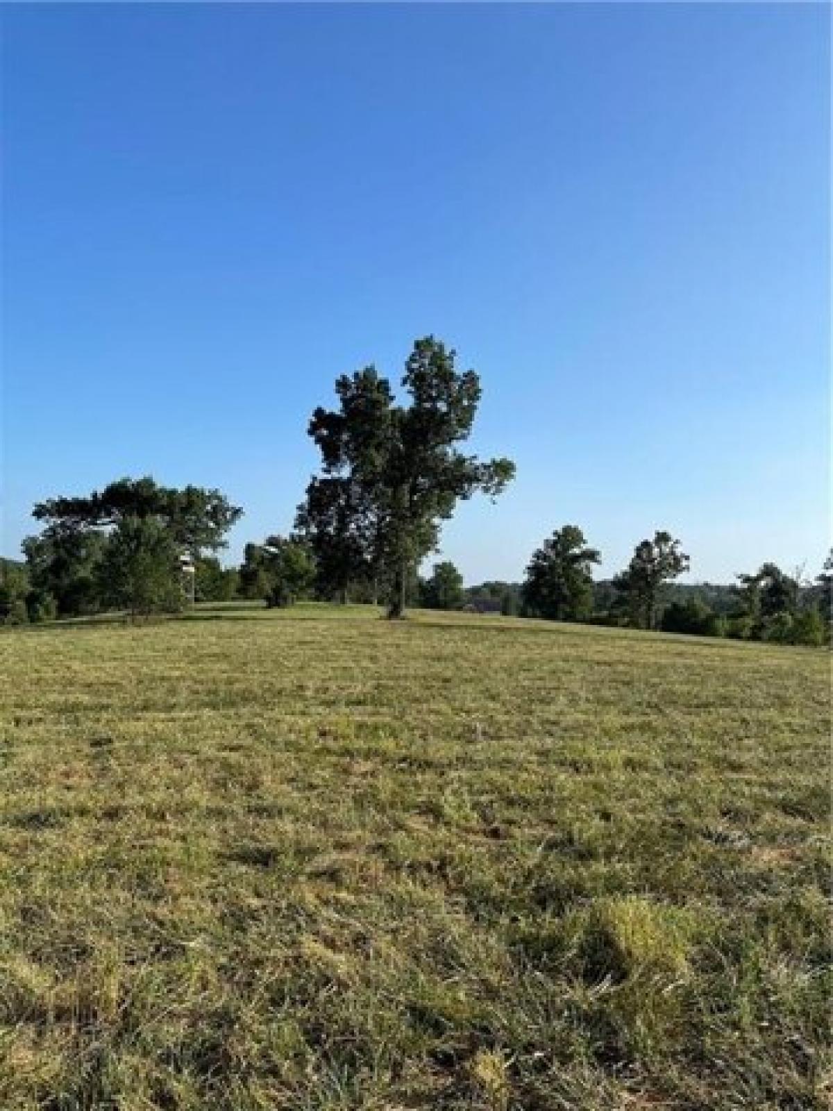 Picture of Residential Land For Sale in Gentry, Arkansas, United States