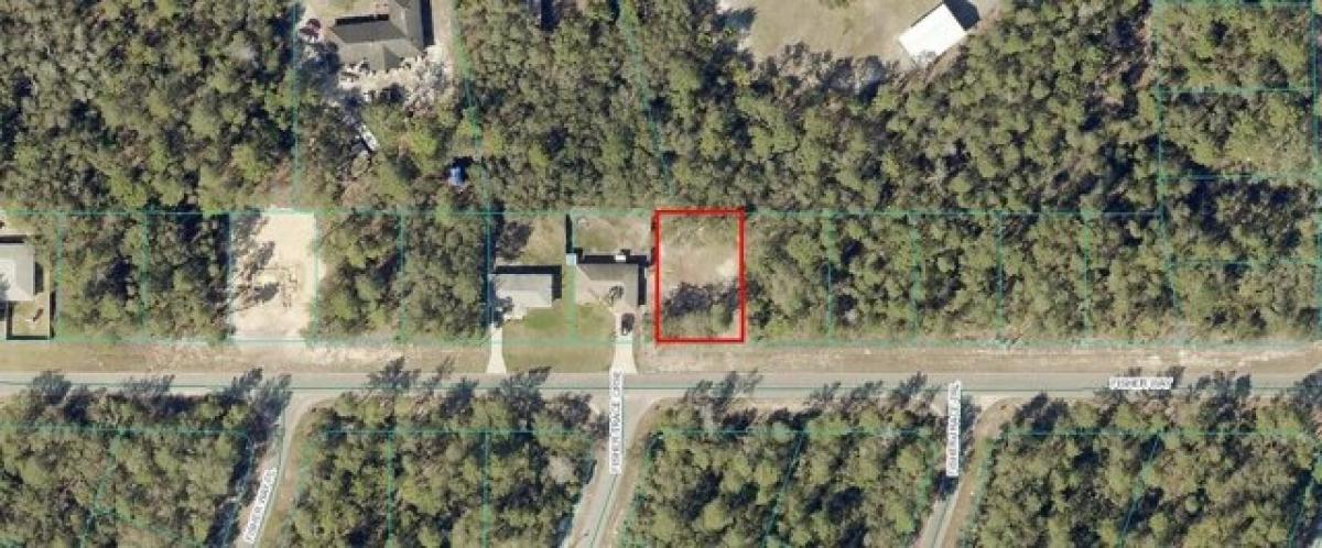 Picture of Residential Land For Sale in Ocklawaha, Florida, United States