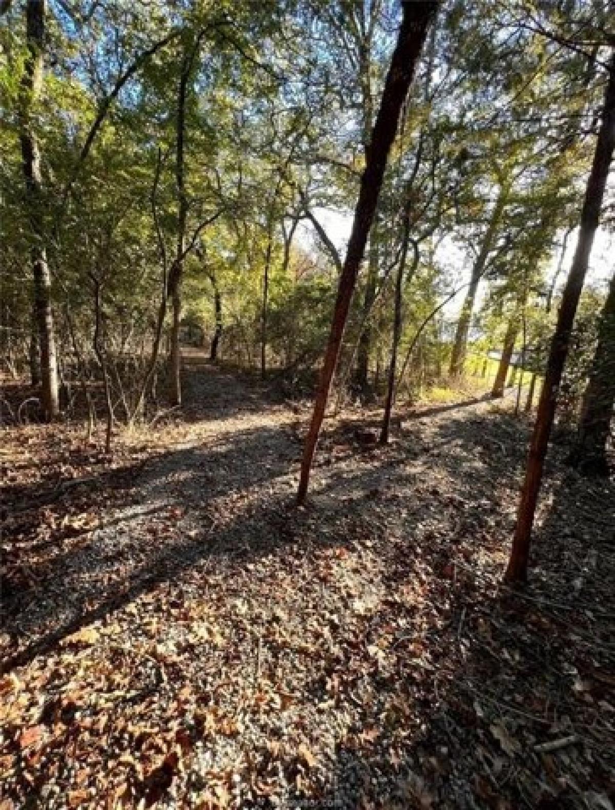 Picture of Residential Land For Sale in Jewett, Texas, United States