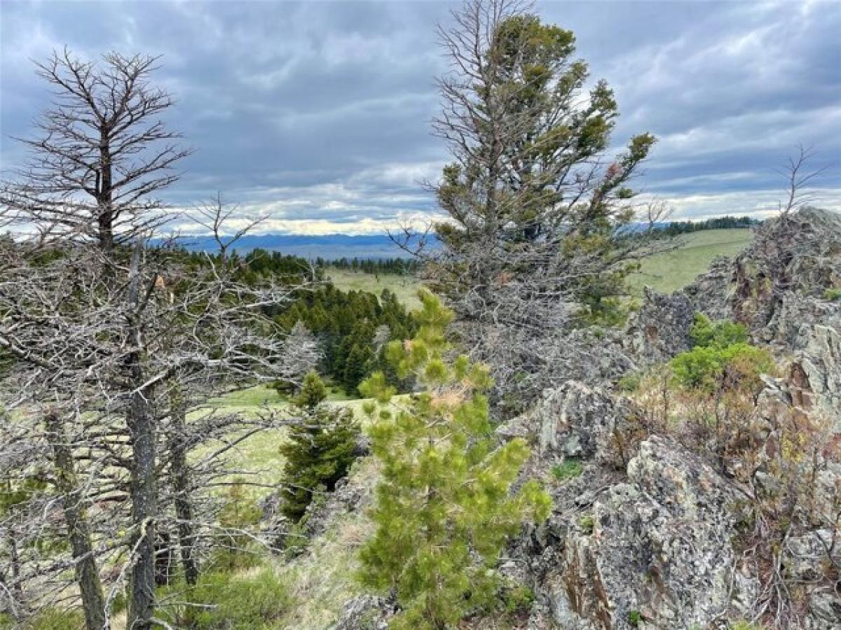 Picture of Residential Land For Sale in Cascade, Montana, United States