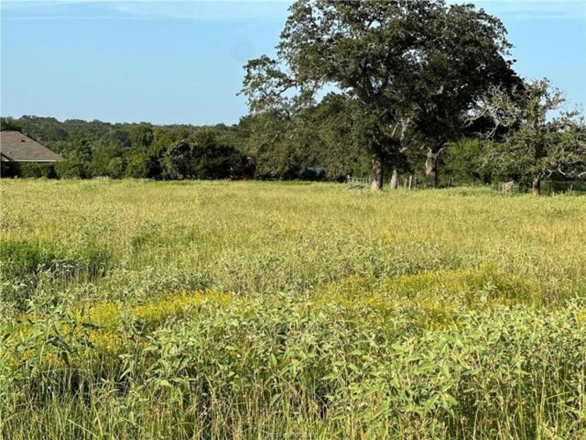 Picture of Residential Land For Sale in Bryan, Texas, United States