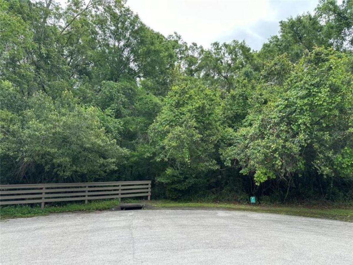 Picture of Residential Land For Sale in Lutz, Florida, United States