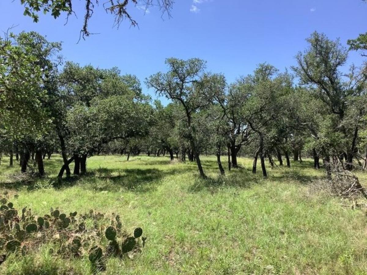 Picture of Residential Land For Sale in Mountain Home, Texas, United States