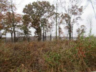 Residential Land For Sale in Vandalia, Michigan