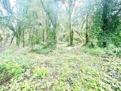 Residential Land For Sale in Mayo, Florida