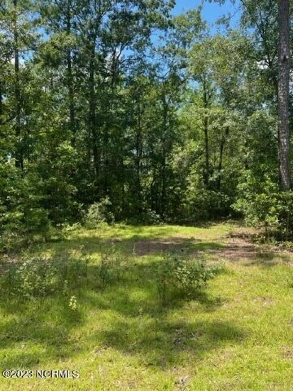 Picture of Residential Land For Sale in Leland, North Carolina, United States