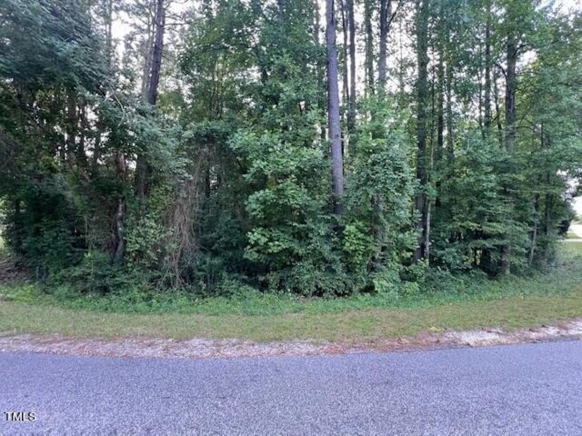 Picture of Residential Land For Sale in Louisburg, North Carolina, United States