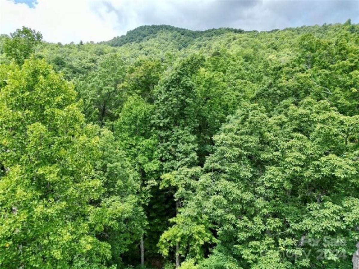 Picture of Residential Land For Sale in Black Mountain, North Carolina, United States