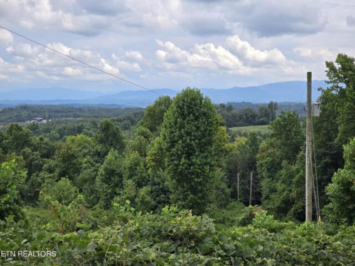 Picture of Home For Sale in Talbott, Tennessee, United States