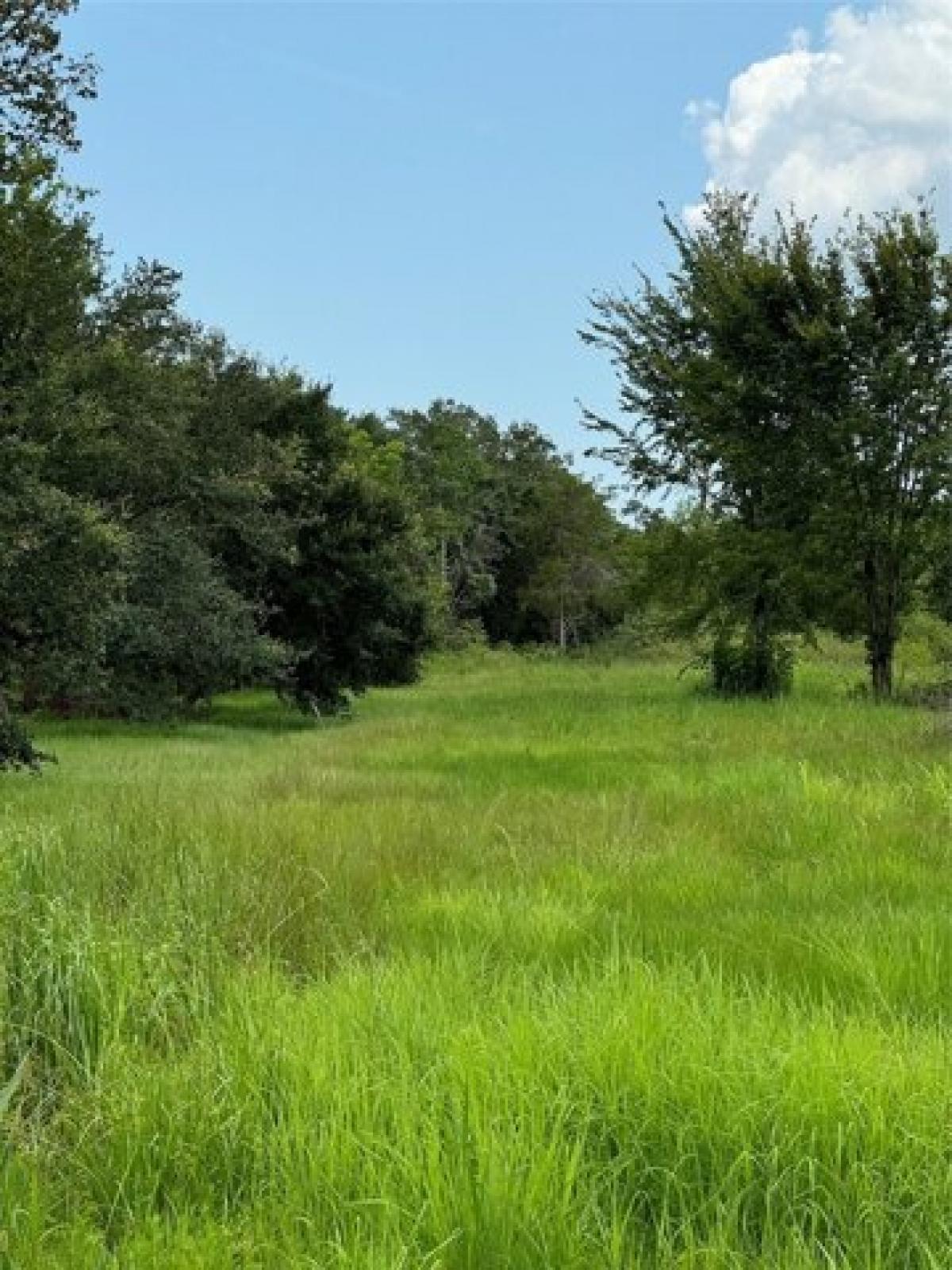 Picture of Residential Land For Sale in Hitchcock, Texas, United States