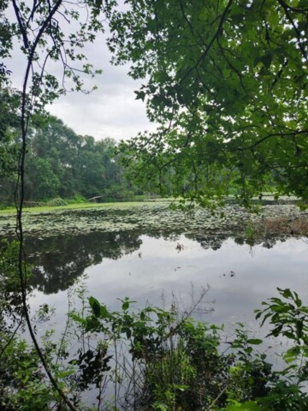 Picture of Residential Land For Sale in Huffman, Texas, United States