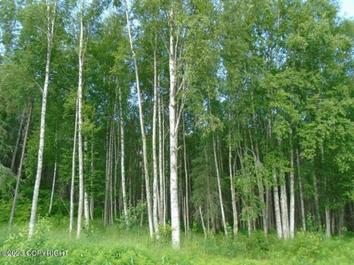 Picture of Residential Land For Sale in Talkeetna, Alaska, United States