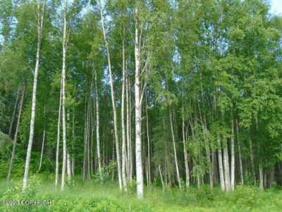 Residential Land For Sale in Talkeetna, Alaska