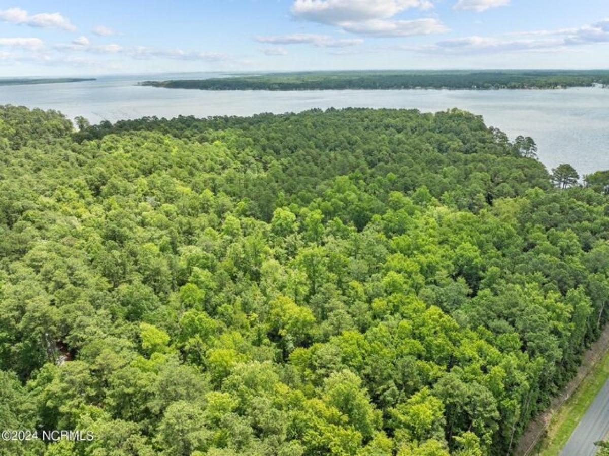 Picture of Residential Land For Sale in Bayboro, North Carolina, United States