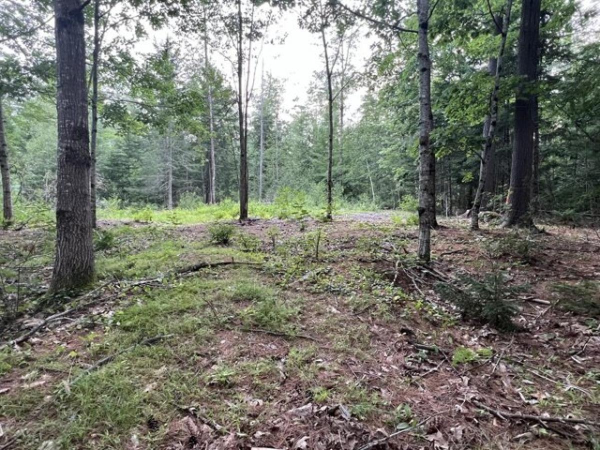 Picture of Residential Land For Sale in Belfast, Maine, United States