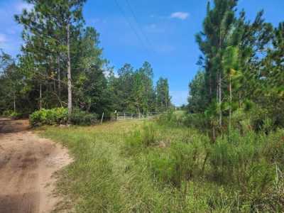 Residential Land For Sale in Glennville, Georgia