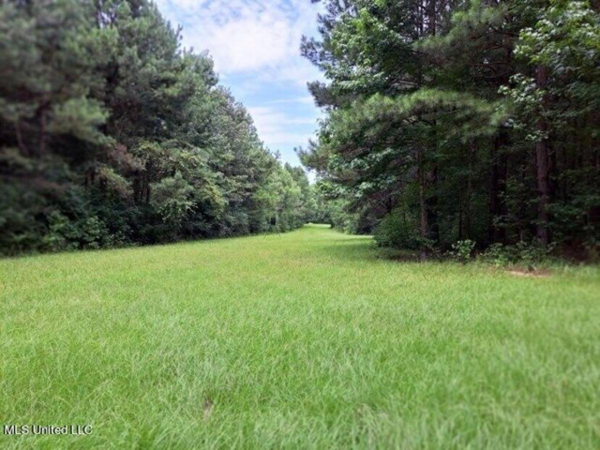 Picture of Residential Land For Sale in Magee, Mississippi, United States