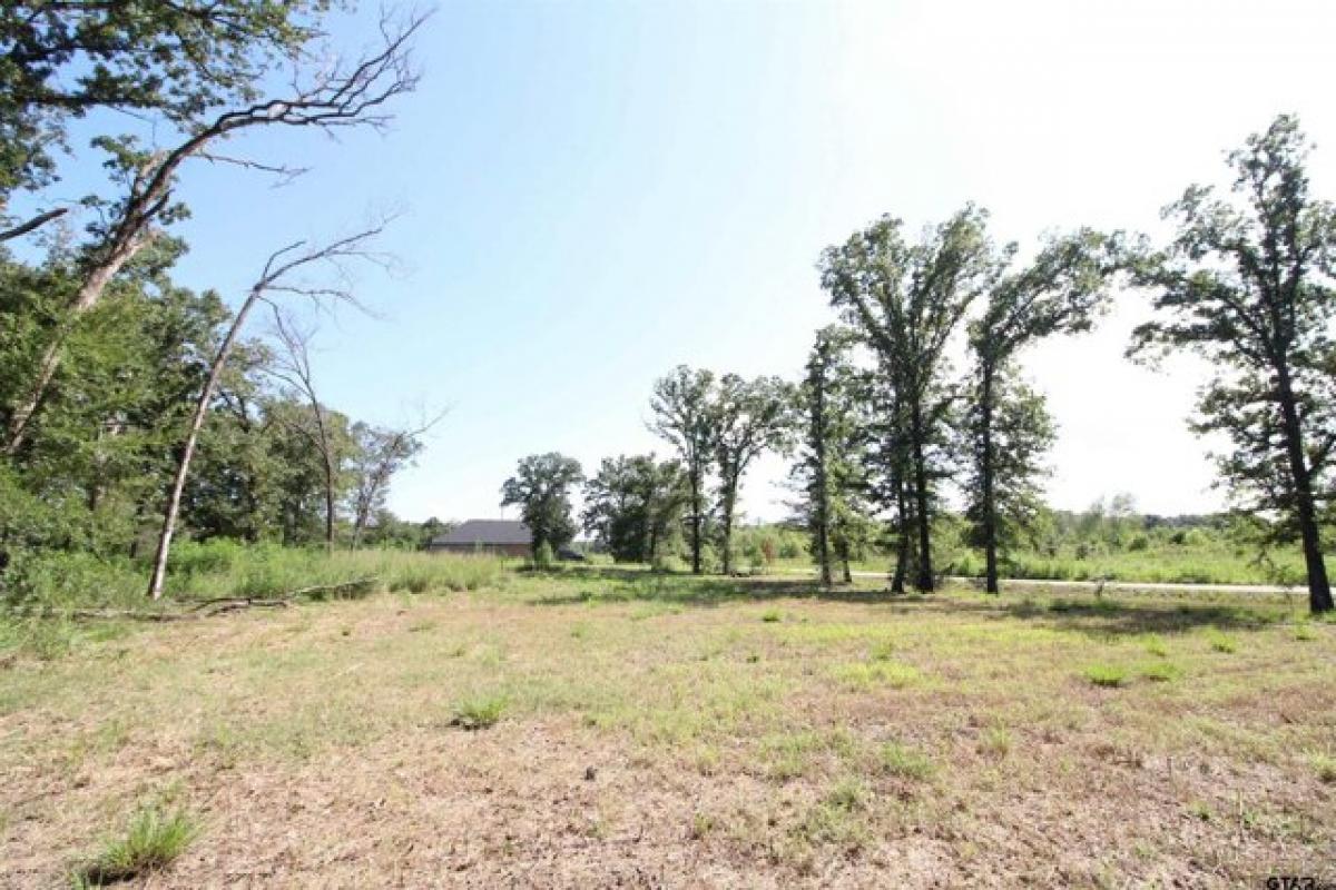 Picture of Residential Land For Sale in Tyler, Texas, United States