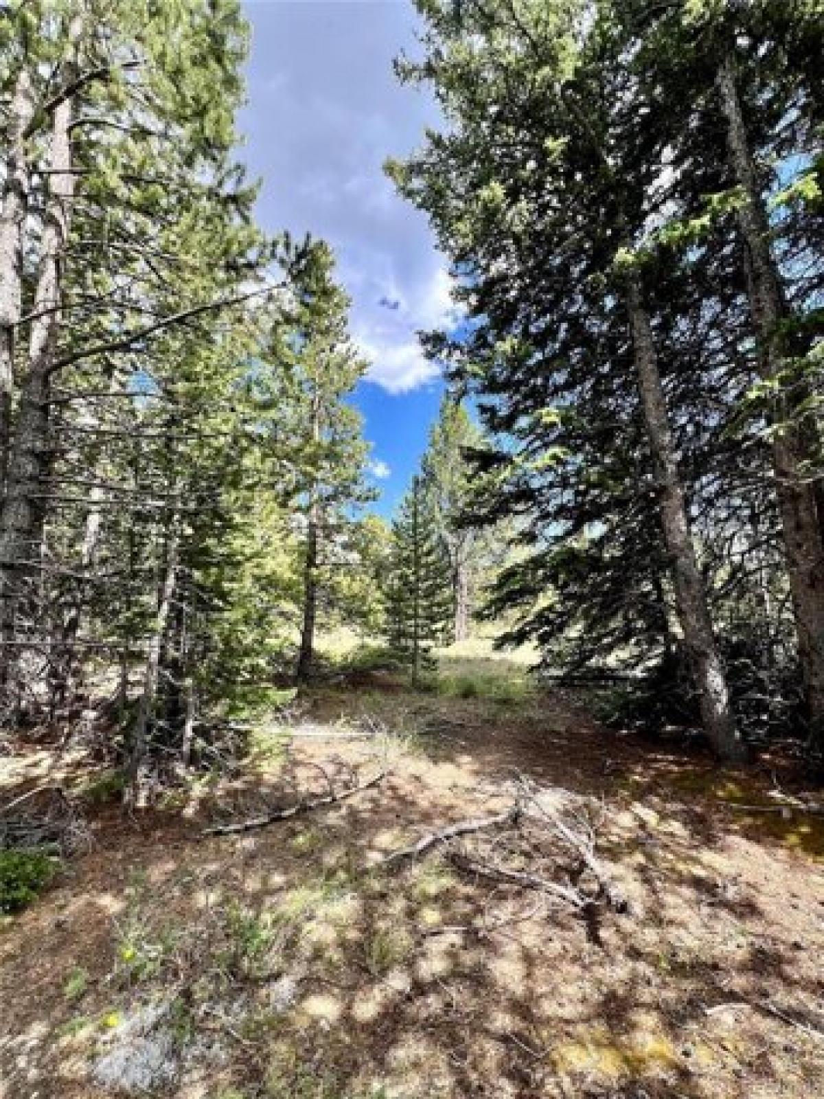 Picture of Residential Land For Sale in Fairplay, Colorado, United States