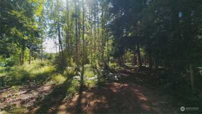 Residential Land For Sale in Morton, Washington