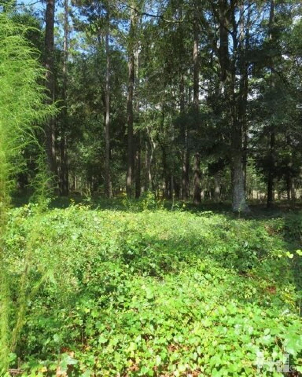 Picture of Residential Land For Sale in Bolivia, North Carolina, United States