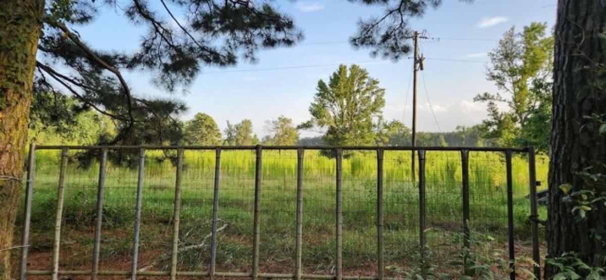 Picture of Residential Land For Sale in Star City, Arkansas, United States