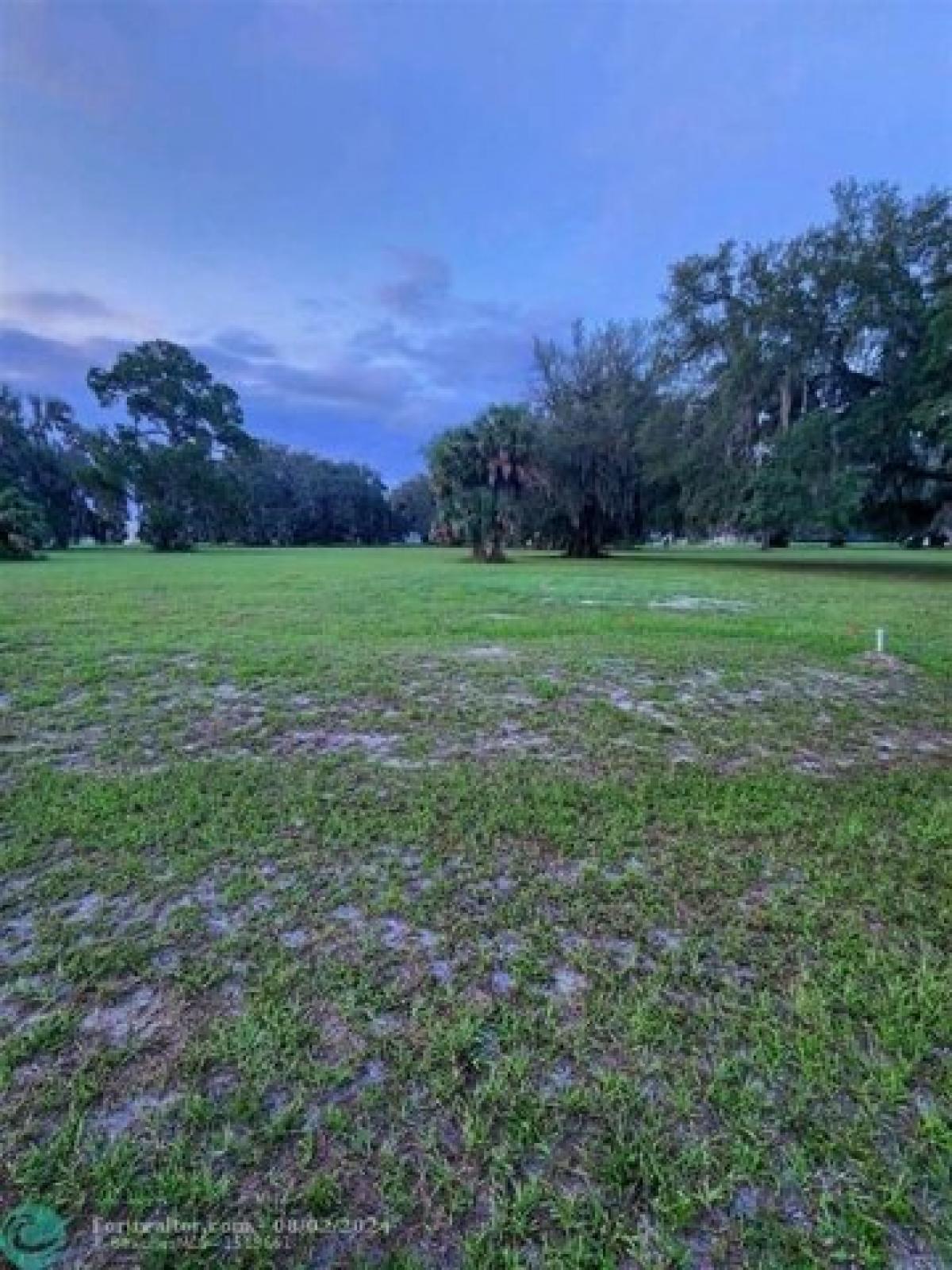 Picture of Residential Land For Sale in Crescent City, Florida, United States