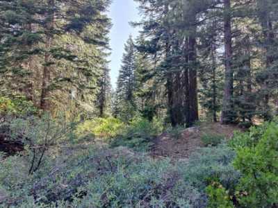 Residential Land For Sale in Nevada City, California