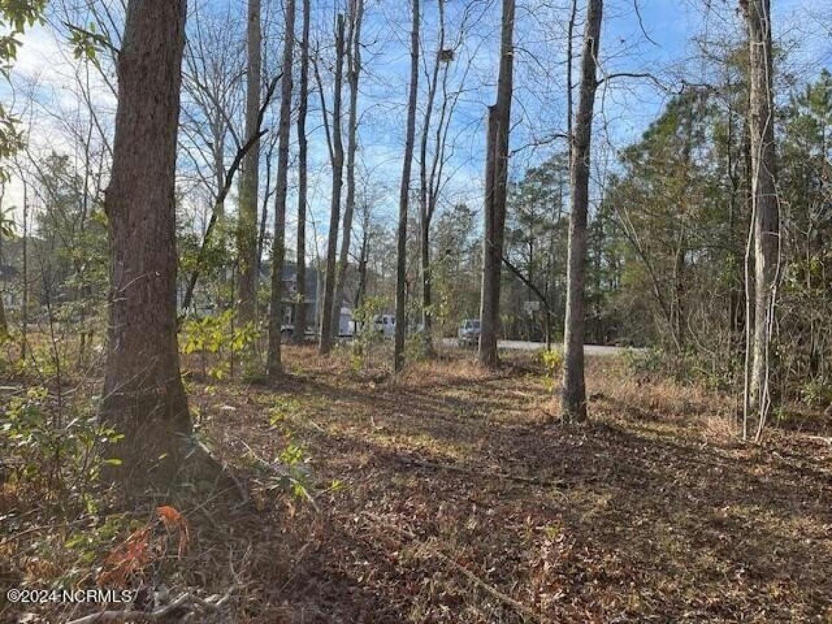 Picture of Residential Land For Sale in Jacksonville, North Carolina, United States