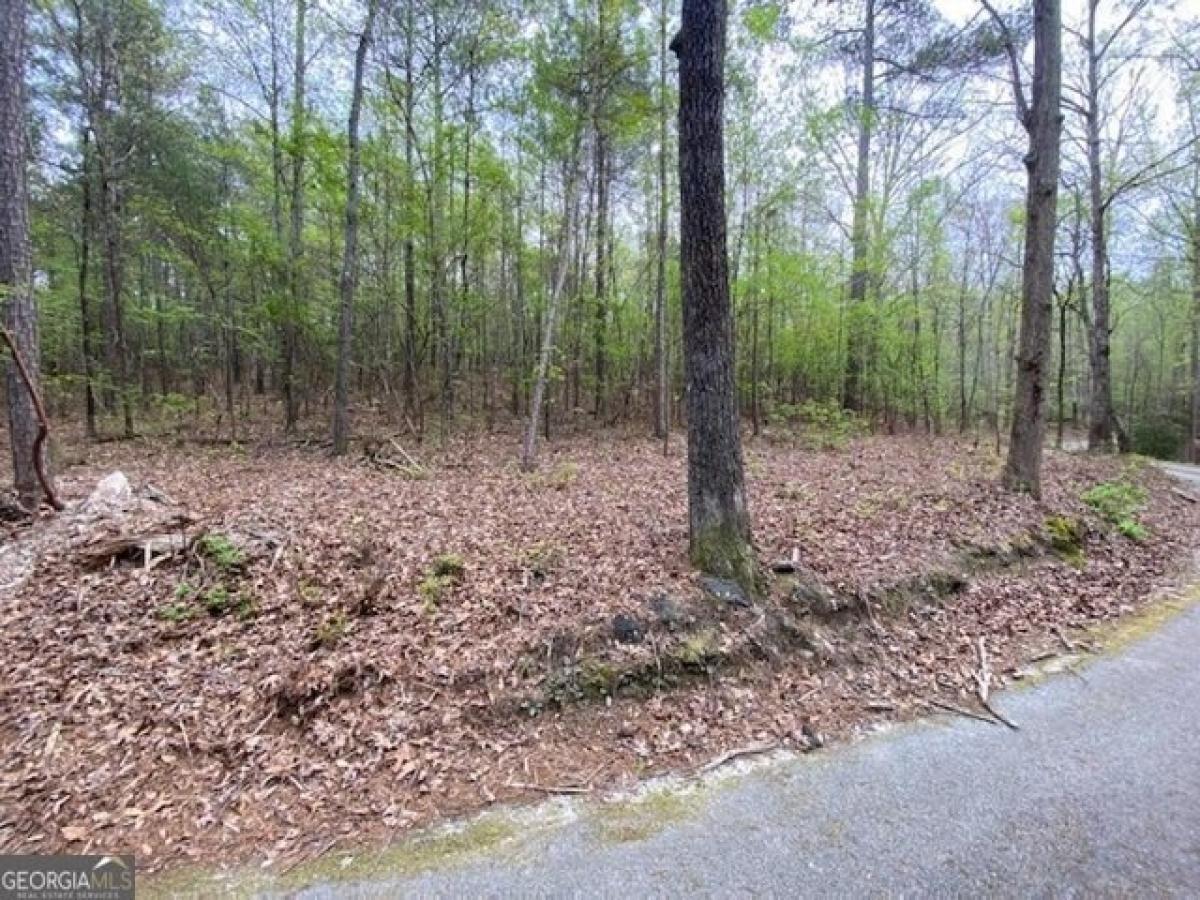 Picture of Residential Land For Sale in Conyers, Georgia, United States