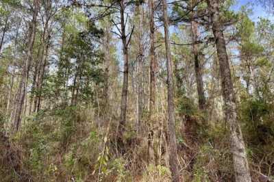 Residential Land For Sale in Greensburg, Louisiana