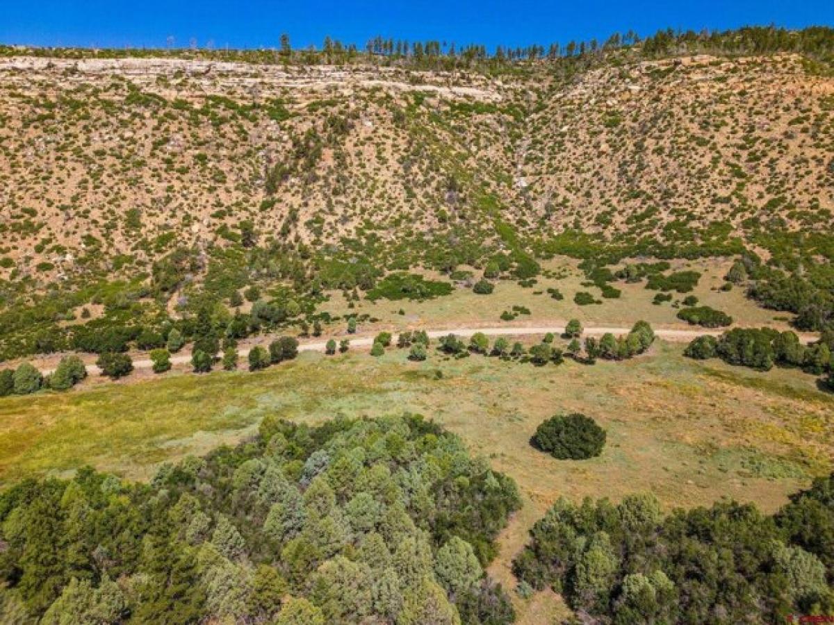 Picture of Residential Land For Sale in Mancos, Colorado, United States