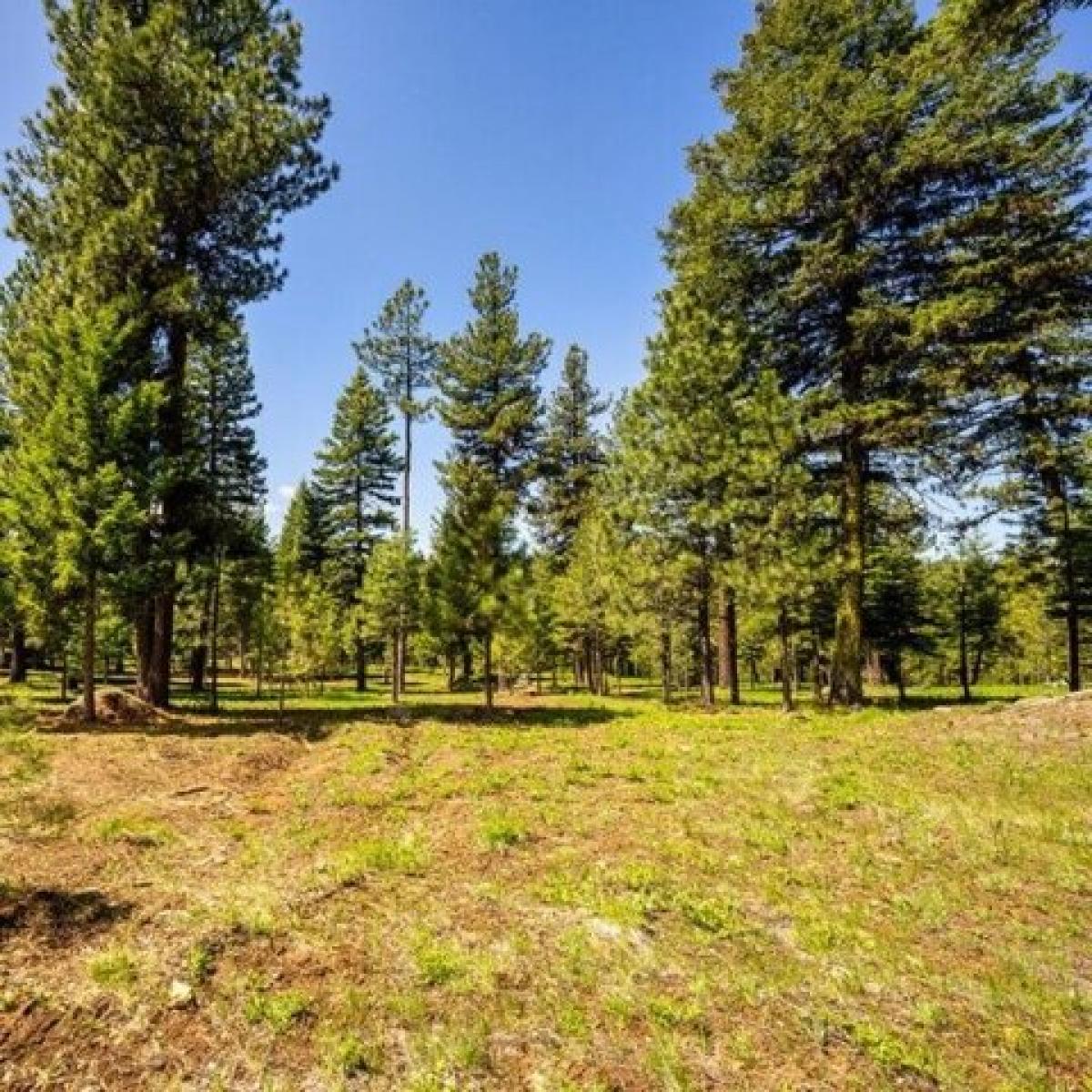 Picture of Residential Land For Sale in McCall, Idaho, United States