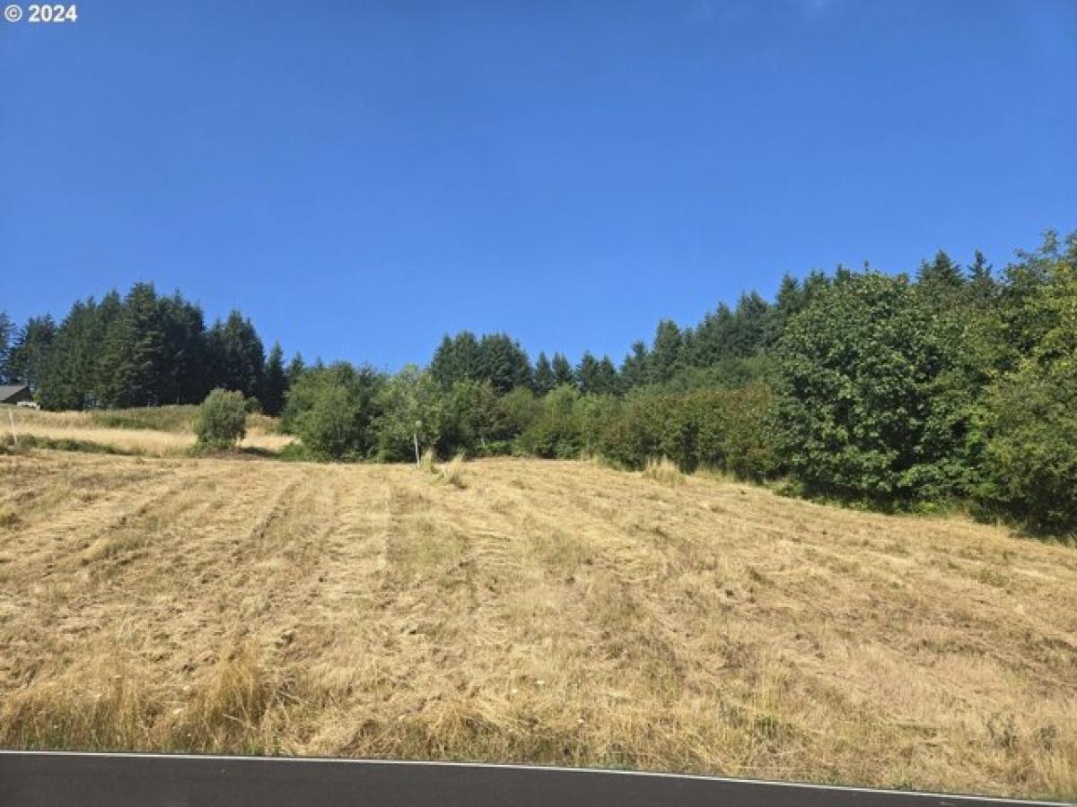 Picture of Residential Land For Sale in Kalama, Washington, United States