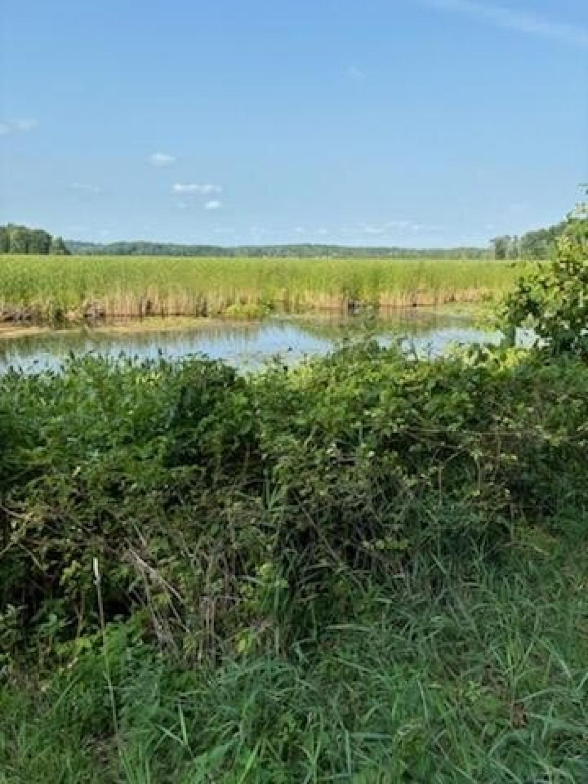 Picture of Residential Land For Sale in Rodney, Michigan, United States