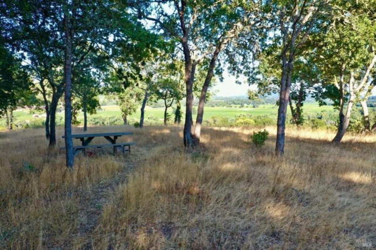 Picture of Residential Land For Sale in Healdsburg, California, United States