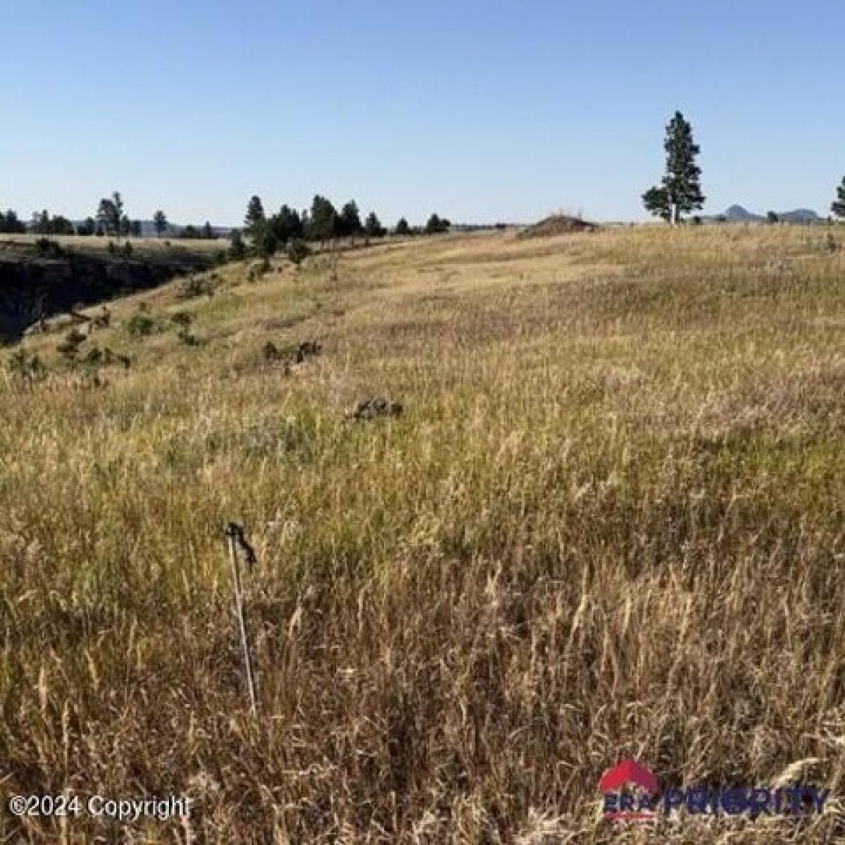 Picture of Residential Land For Sale in Carlile, Wyoming, United States