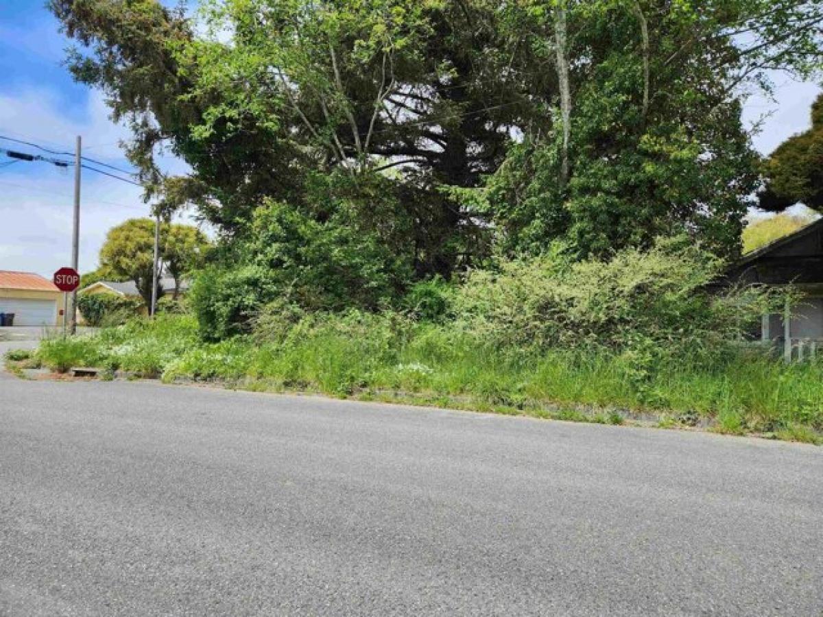 Picture of Residential Land For Sale in Crescent City, California, United States