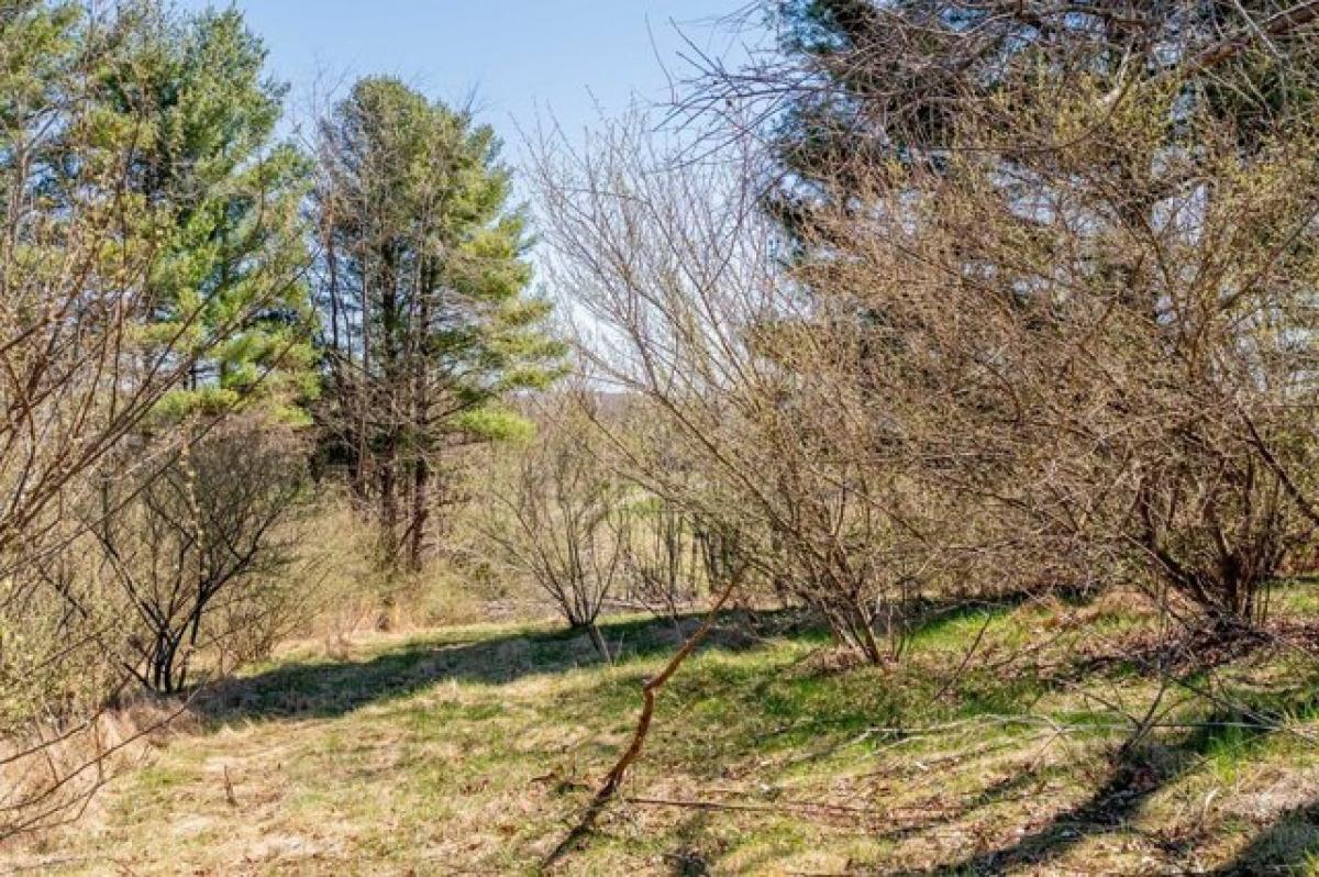 Picture of Residential Land For Sale in Max Meadows, Virginia, United States